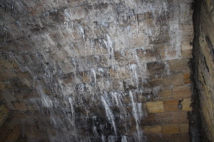 сталактиты, сталагмиты, кальцитовые натёки и влага на потолке,полу и стенах арочных галерей Потёмкинской лестницы