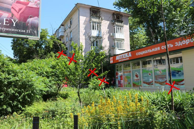 Аптека Одесская Геленджик