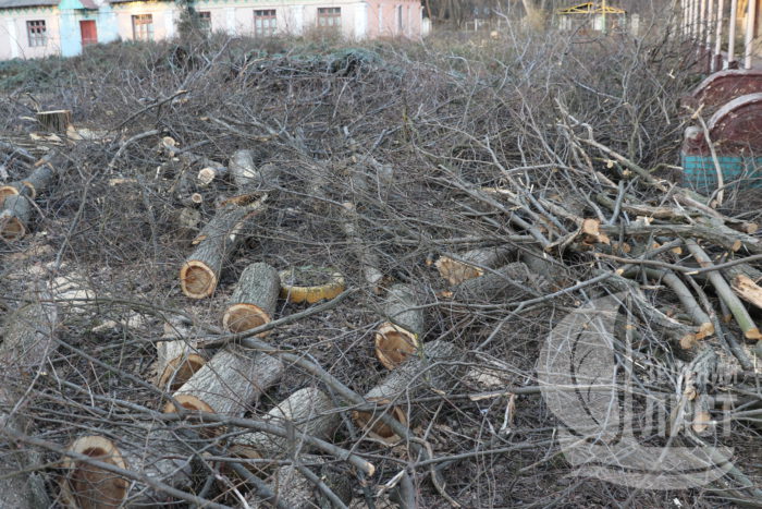 Соратник ЮВТ уничтожил целый парк на побережье Одессы.