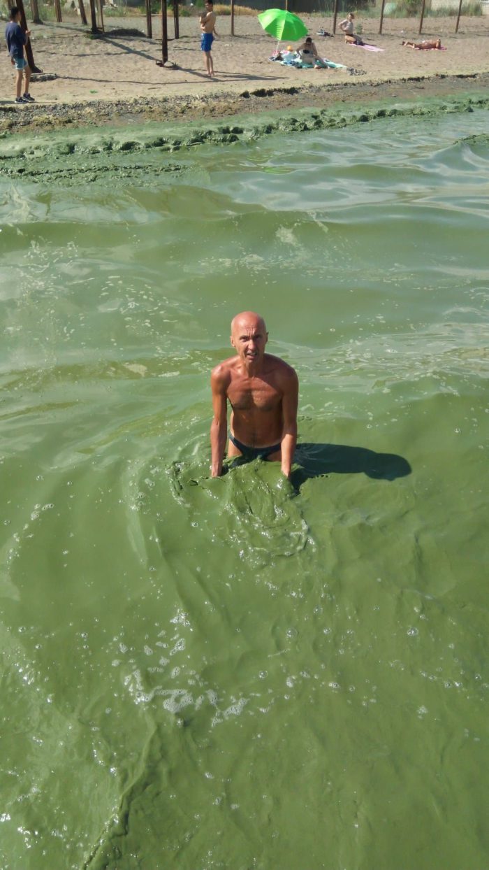 Почему в Одессе цветет море и токсична ли «зеленая жижа» - мнение эколога_1