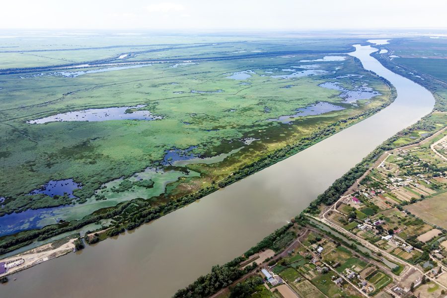 Що відбувається на природоохоронних територіях півдня України? Як війна впливає на біорізноманіття України?