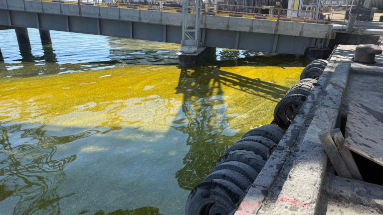 Розлив олії в Чорноморську після обстрілу порту: забруднення води в Сухому лимані
