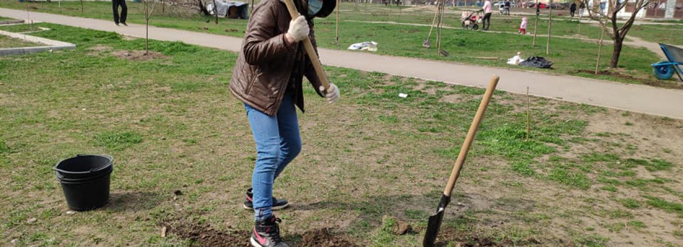 Висадка дерев в Одесі! 
Приєднуйся до громадської ініціативи ГО «Зелений лист».
